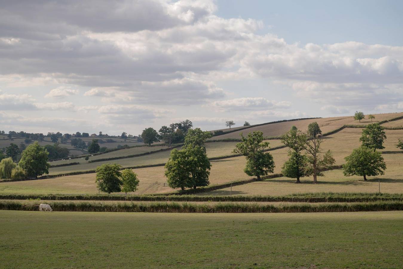 Le Petit Civry in Saint-Julien-de-Civry, Charolles und Umgebung