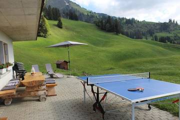 Appartement voor 4 Personen in Diemtigen, Westerse Alpen, Afbeelding 1