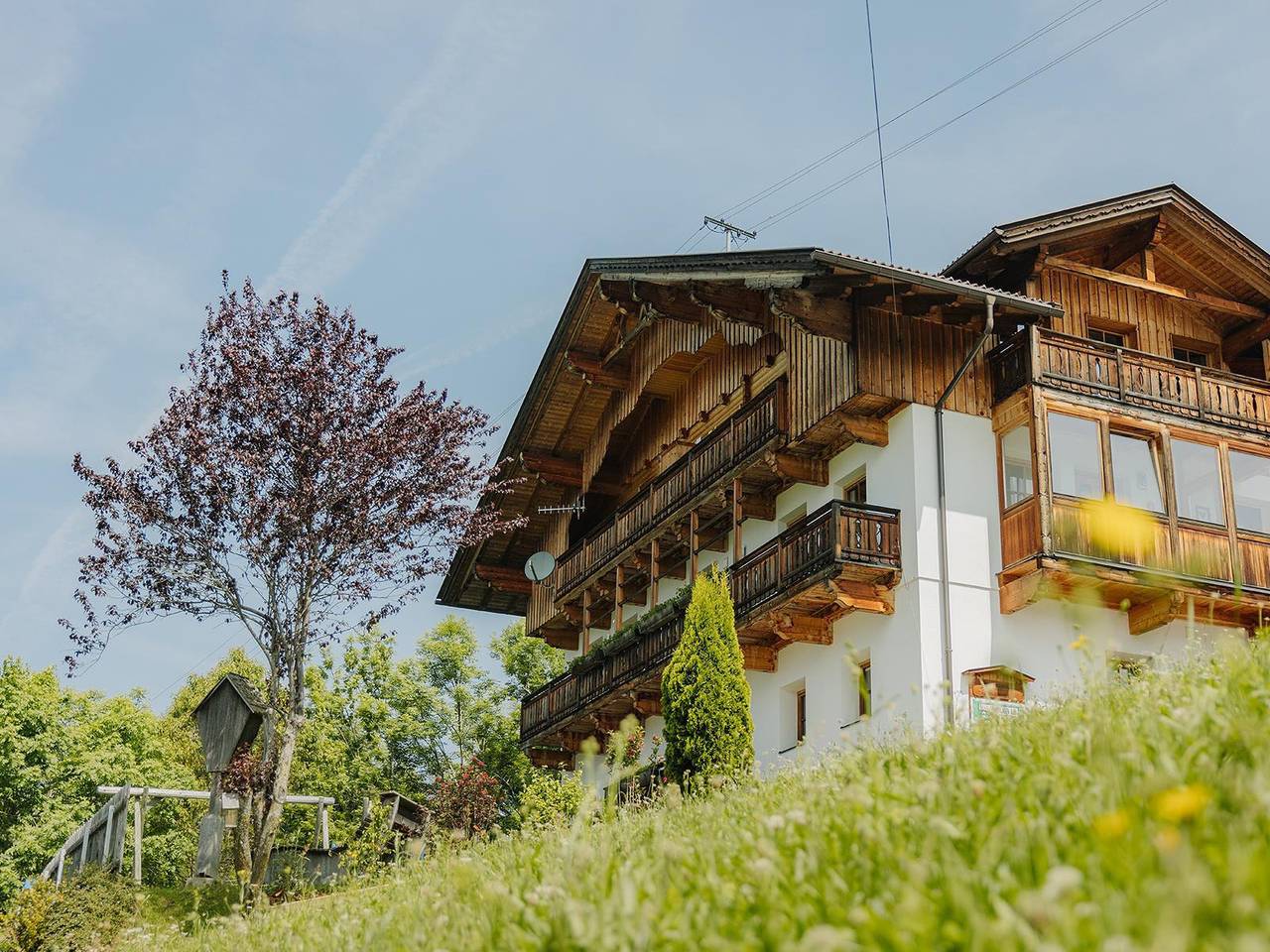 Bergreich in Villgratner Berge, Heinfels