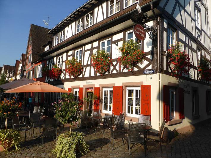 Hotel für 2 Personen, mit Terrasse in Haslach im Kinzigtal - 3