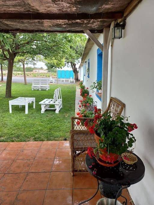 Apartamento de vacaciones para 7 personas, con jardín además de vistas y piscina, Se admiten mascotas en Montes de Toledo - 3