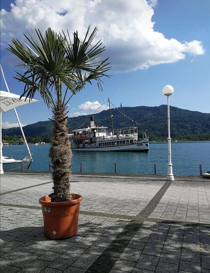 Ferienwohnung für 5 Personen, mit Balkon und Ausblick in Pörtschach am Wörthersee