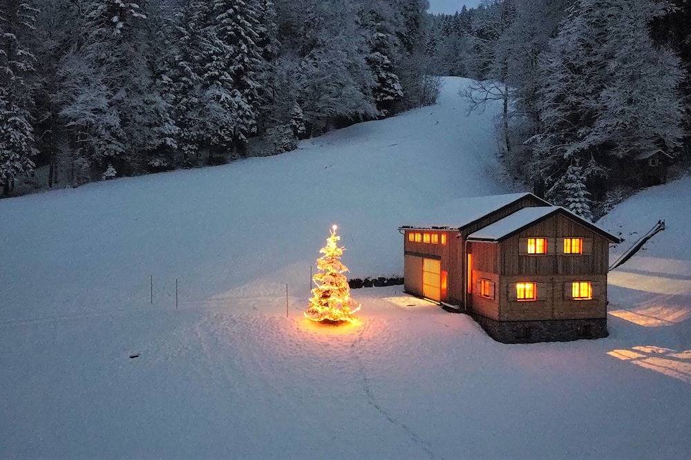 Modern vacation hut in a quiet, secluded location at the foot of the Hirschberg, with terrace in Bizau, Bregenz Forest