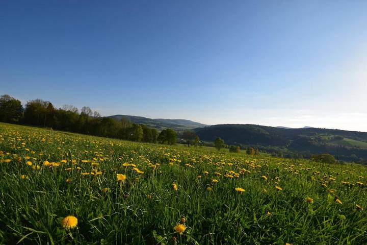 Ferienwohnung für 9 Personen, mit Balkon und Terrasse sowie Garten und Ausblick in Hilders - 4
