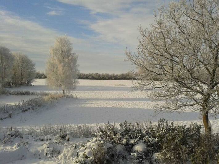 Ferienwohnung für 4 Personen, mit Balkon und Garten in Seeth