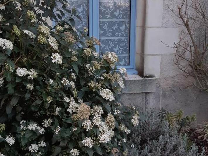 Location de vacances pour 4 personnes, avec terrasse et jardin à Luzillé - 3