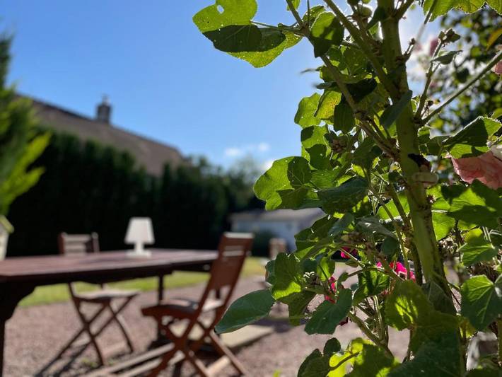 Location de vacances pour 2 personnes, avec jardin à La Croix-en-Touraine - 3