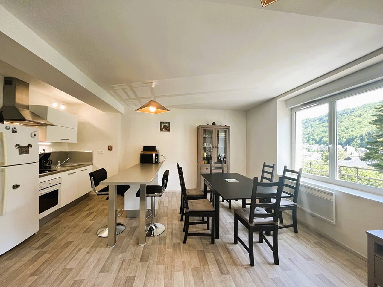 Appartement entier, T2 Bis rénové au Mont-Dore avec wifi proche des Thermes in Mont-Dore, Parc naturel régional des Volcans d'Auvergne