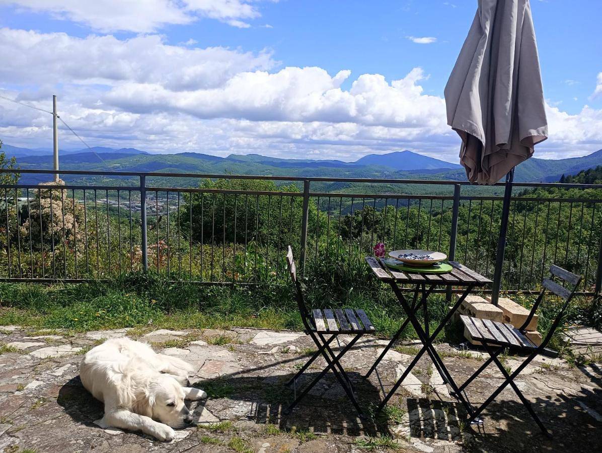 Appartamento intero, Casetta nel Podere di Massi in Barberino di Mugello, Firenze province