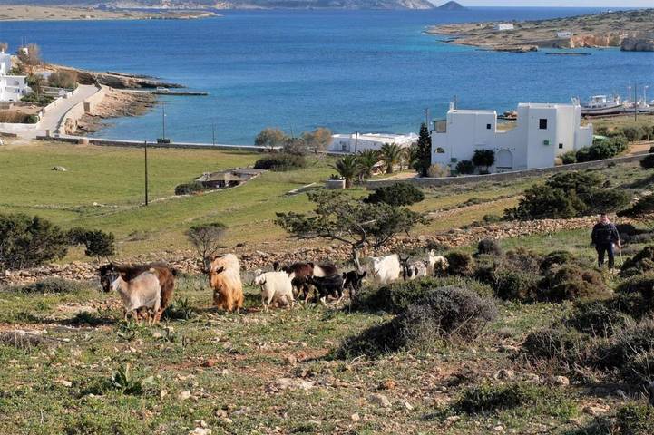 Location de vacances pour 3 personnes, avec jardin et vue dans Koufonisia - 4