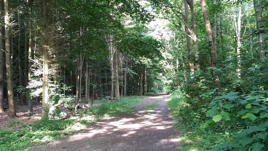 Ferienhaus für 11 Personen, mit Garten, mit Haustier in Marstal - 2