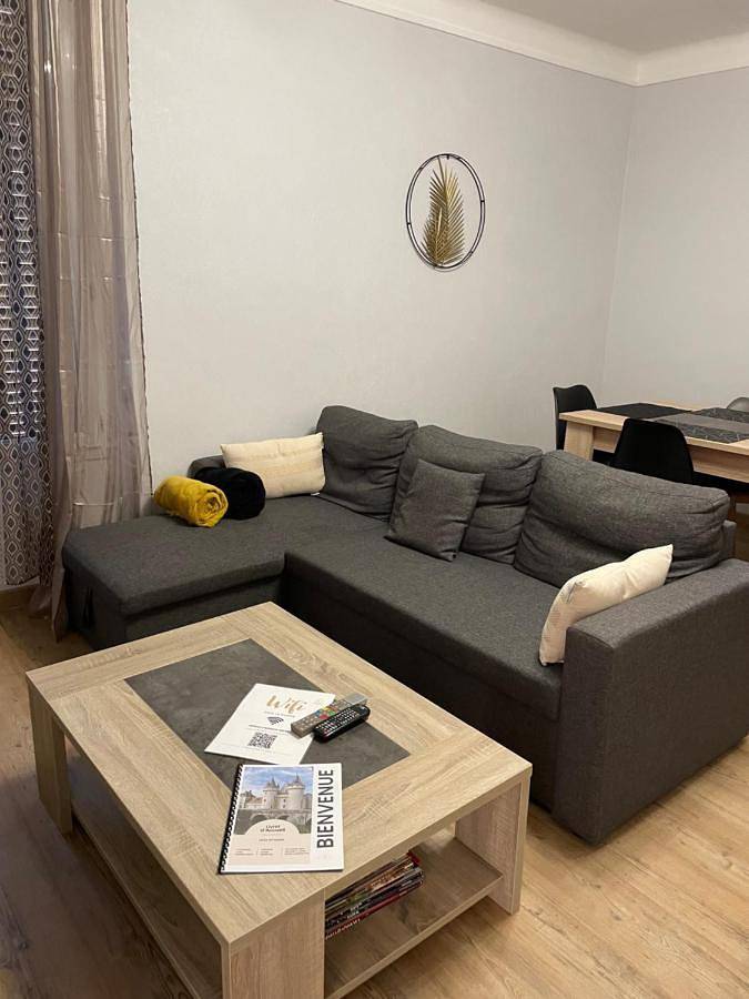 Location de vacances pour 8 personnes, avec vue et jardin, animaux acceptés à Sully-sur-Loire - 3