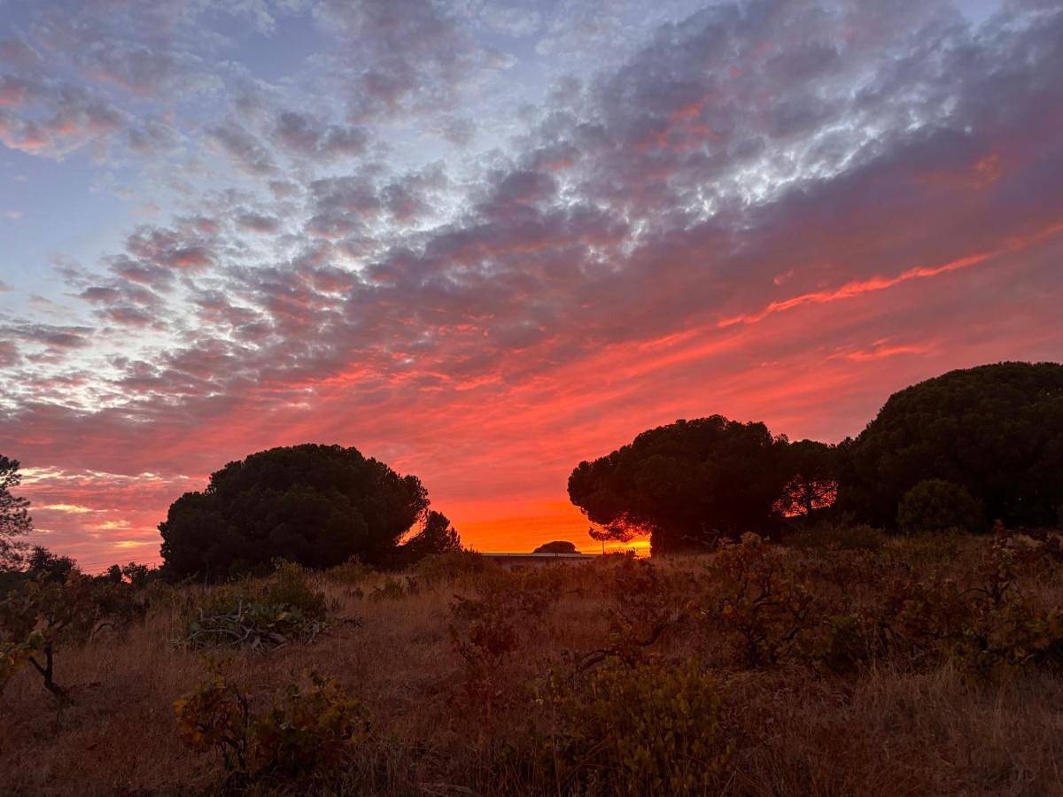 Apartamento inteiro, Casa Madeira no Monte in Almancil, Ria Formosa