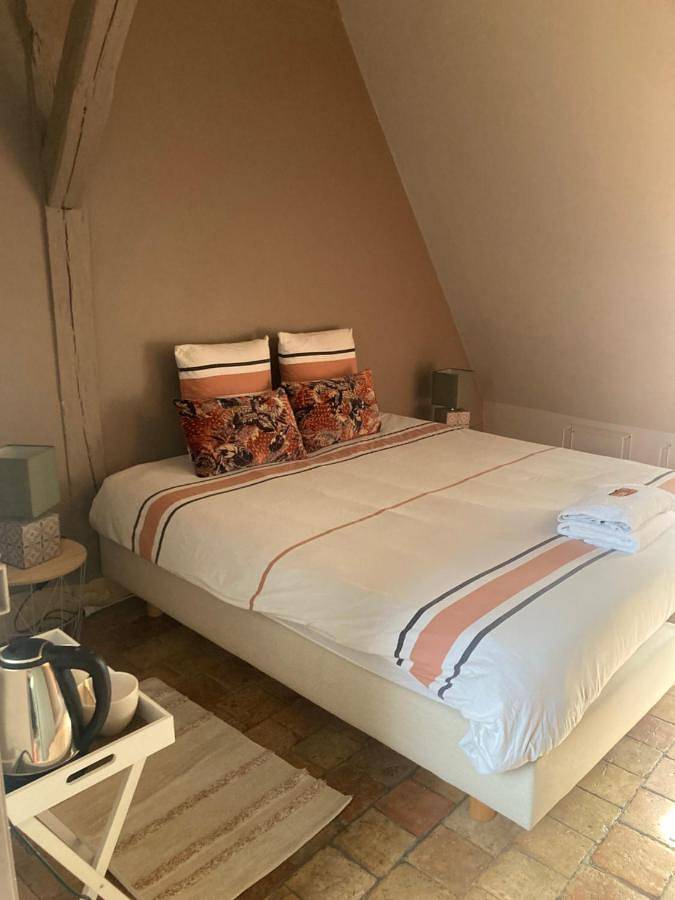 Chambre d’hôte pour 4 personnes, avec terrasse ainsi que jardin et piscine à La Flèche - 3