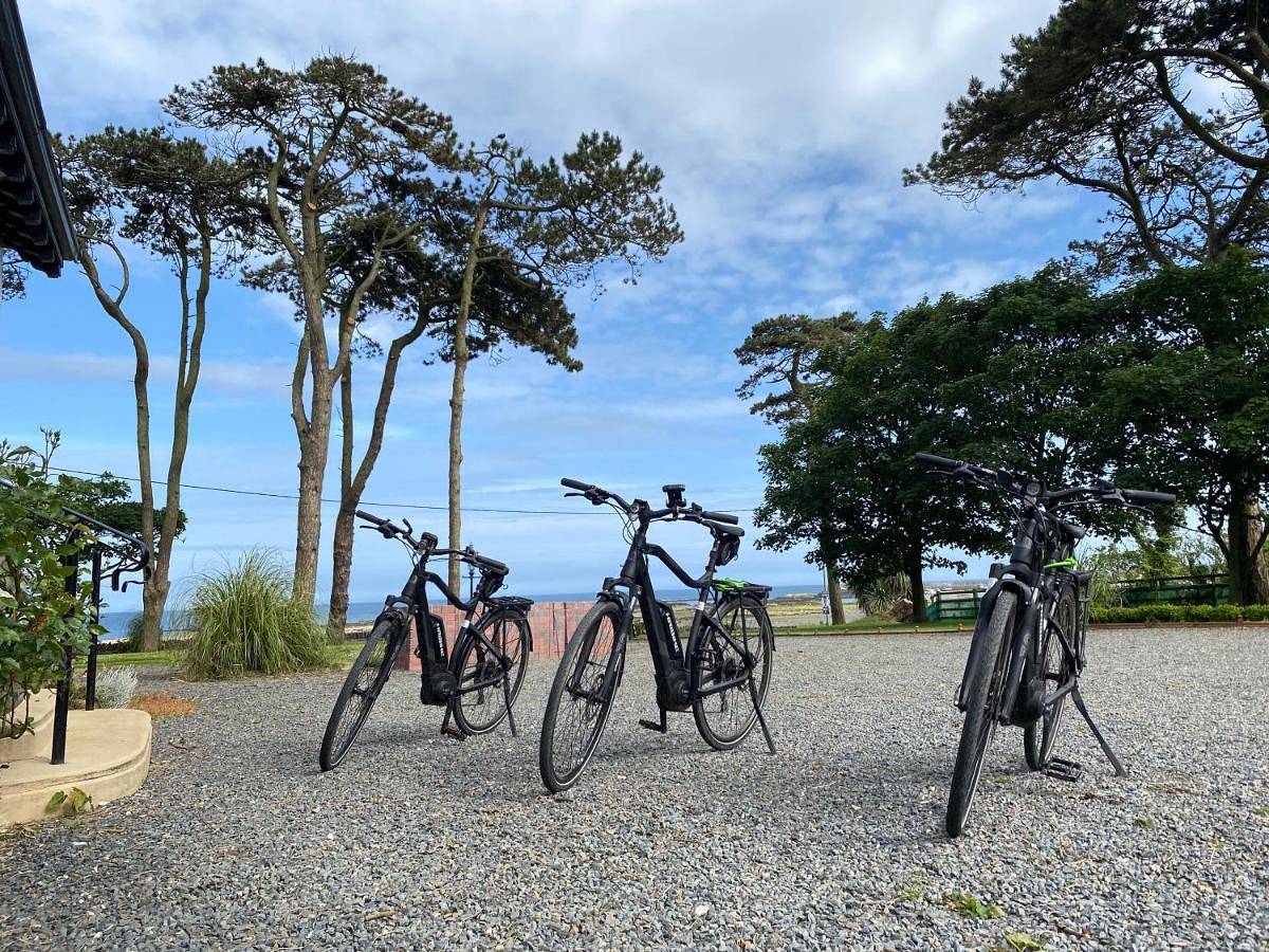 Deluxe Double or Twin Room with Sea View in Strangford Lough