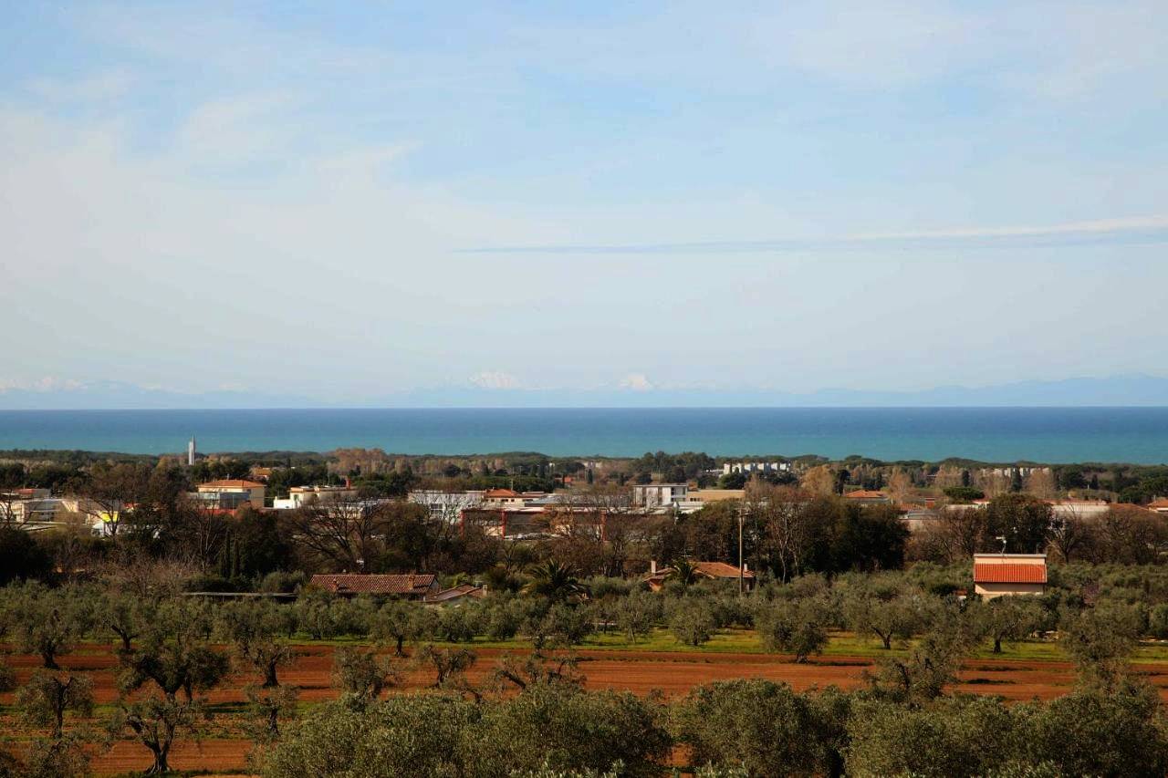 Appartamento intero, Agriturismo San Gregorio in San Vincenzo, Costa degli Etruschi