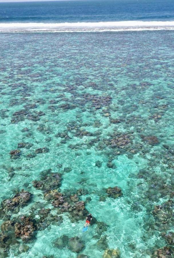 Location de vacances pour 6 personnes, avec jardin et vue dans Papara - 2