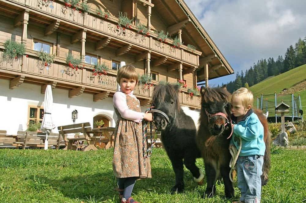 Appartement \"Elisabeth\" - Pilzhof in Filzmoos, Tennengau