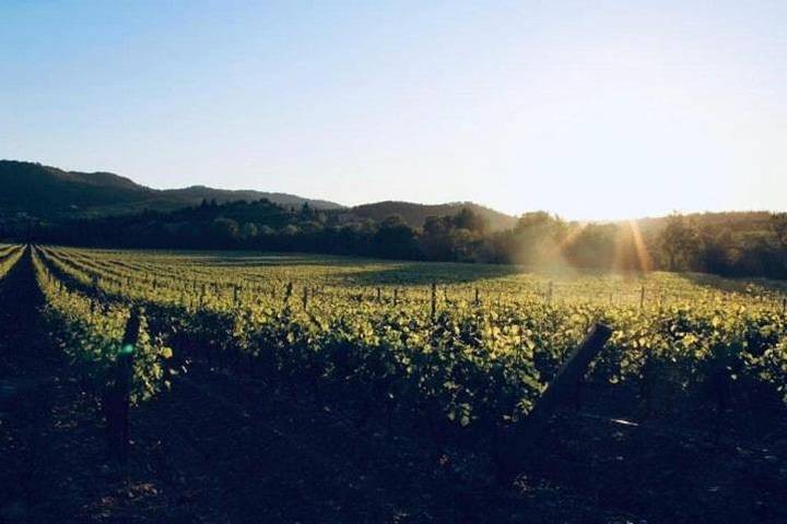 Location de vacances pour 4 personnes, avec vue et jardin à Cournanel - 3