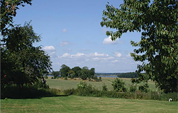 Ferienhaus für 4 Personen, mit Terrasse, mit Haustier in Blekinge - 4
