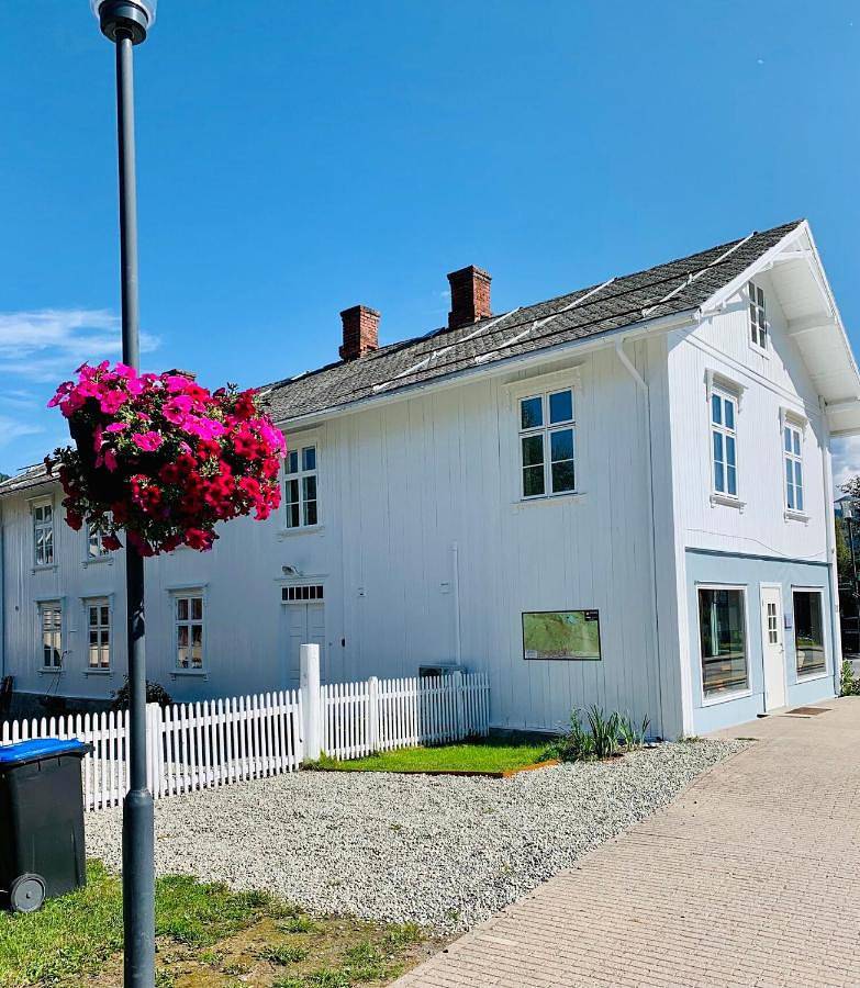 Ganze Wohnung, Apartment - Ground Floor in Nesbyen