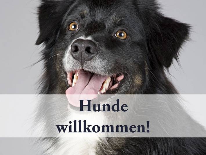 Ferienhaus für 24 Personen, mit Ausblick und Garten, mit Haustier in Braunlage - 3