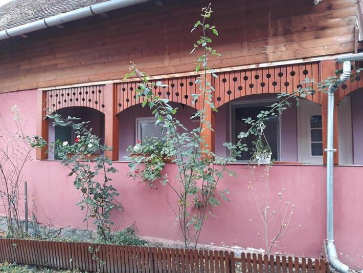 Chambre d’hôte pour 2 personnes, avec jardin et terrasse, animaux acceptés en Roumanie - 3