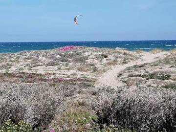 Villa pour 6 Personnes dans Port Leucate, Leucate, Photo 1