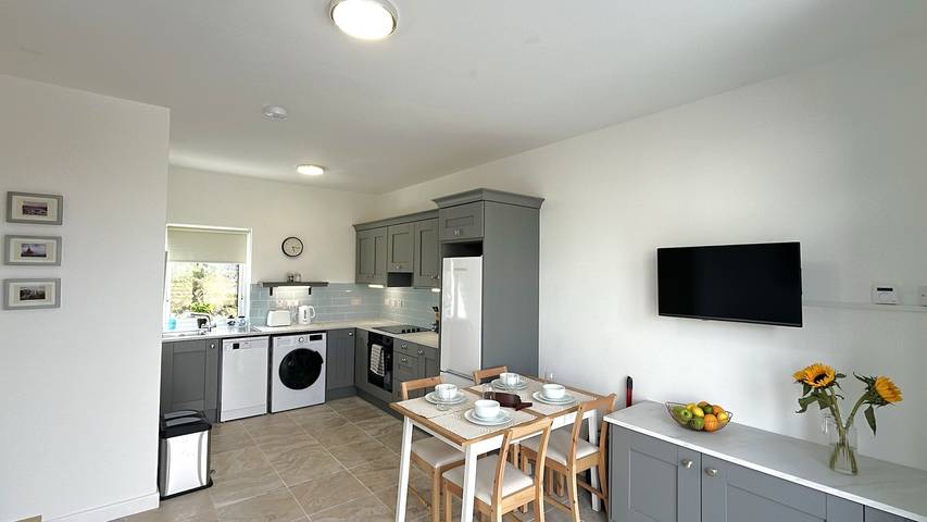 Ferienhaus für 4 Personen, mit Terrasse, mit Haustier in County Galway - 3