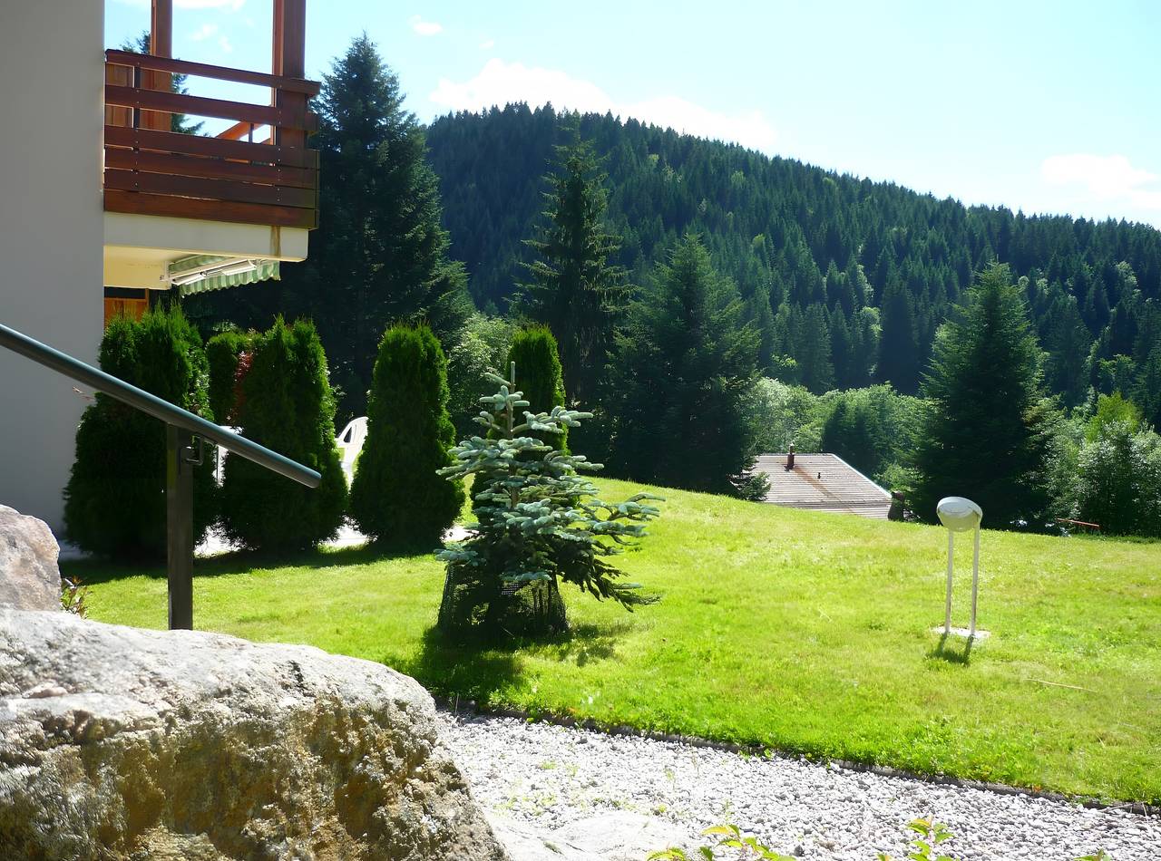 Entire apartment, Charming Apartment in Chalet with Garden-Level Terrace in Gérardmer, Parc naturel régional des Ballons des Vosges