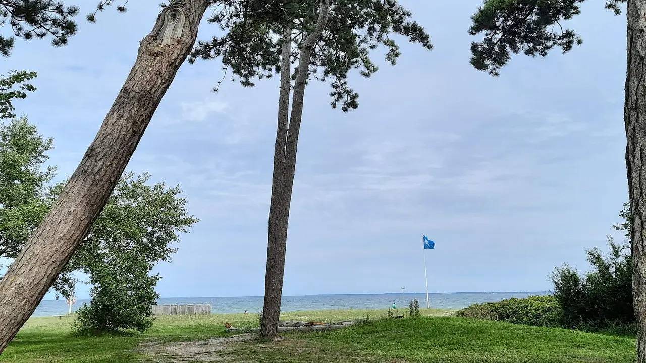 Feriehus for 6 personer med have in Vejlby Fed, Lillebælt