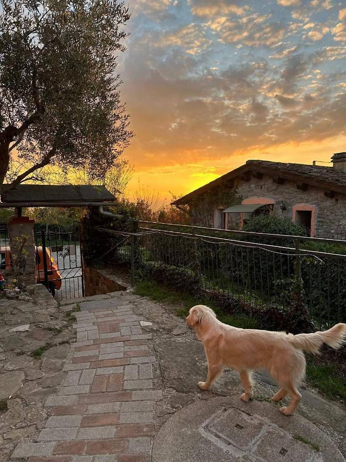 Appartamento intero, Casetta nel Podere di Massi in Barberino di Mugello, Firenze province