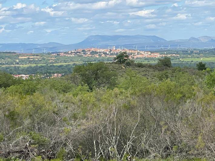 Gîte pour 4 personnes, avec vue ainsi que piscine et jardin à Villelongue-dels-Monts - 2