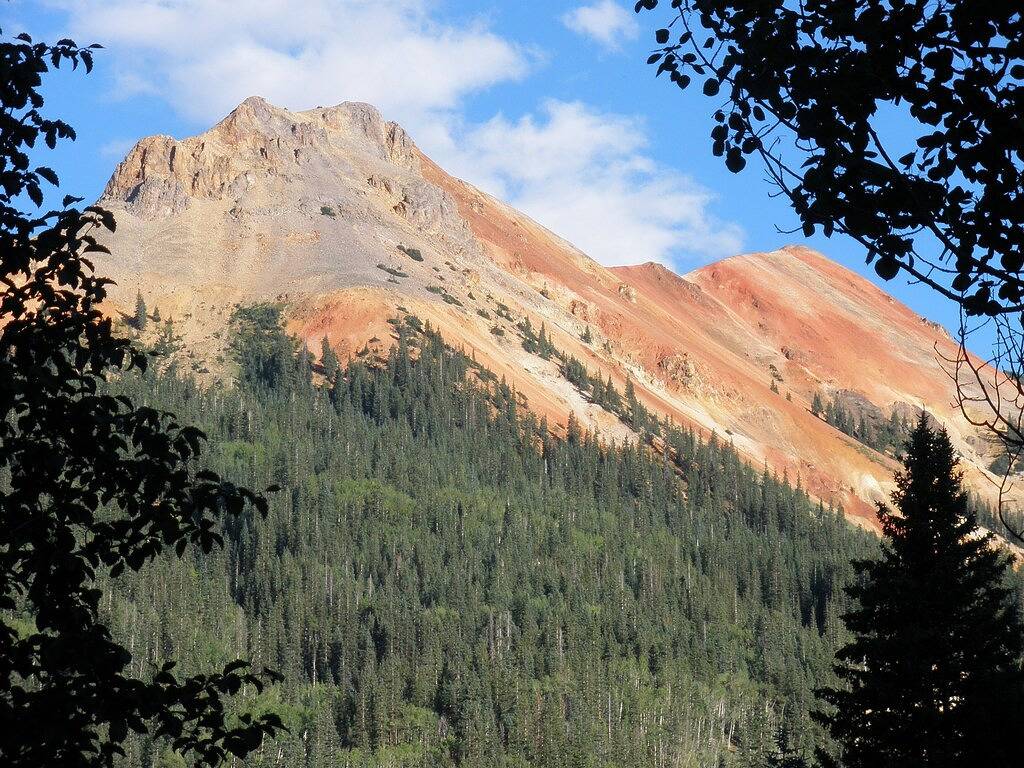 Rose Haven Cottage ist ein kleines komfortables Zuhause. Im Herzen von Montrose. in Montrose, Black Canyon Nationalpark
