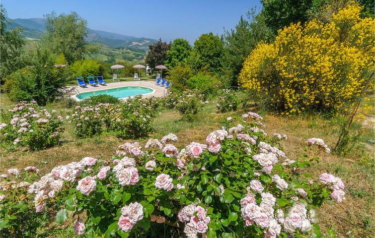 Ferienhaus für 5 Personen, mit Pool und Terrasse, mit Haustier in Marche - 2