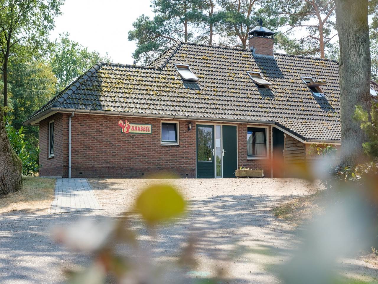 Bungalow voor 8 Personen in Hardenberg, Regio Zwolle