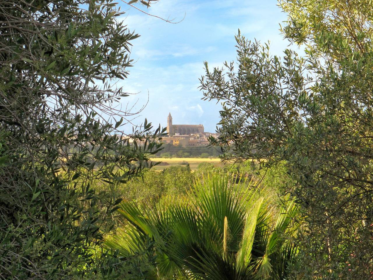 Villa S'Aguila, Es Cap Des Moro, Santanyí, 4 pax in Santanyí, Mallorca Süden
