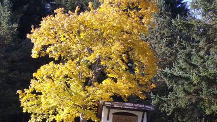Ferienwohnung für 3 Personen in Mittenwald, Bayerische Alpen, Bild 4