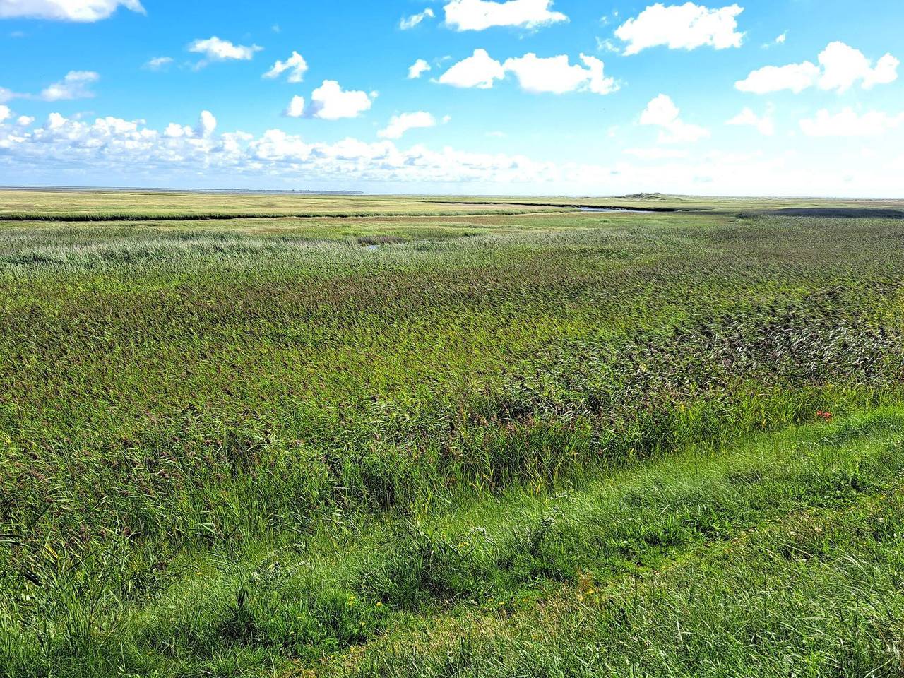 Luxurioses Refugium mit Pool in Sønderho, Fanø