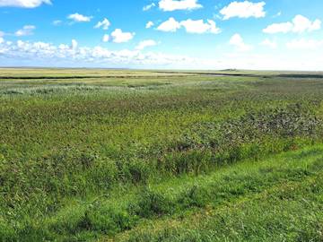 Ferieudlejning til 18 Personer i Sønderho, Fanø, Billede 4