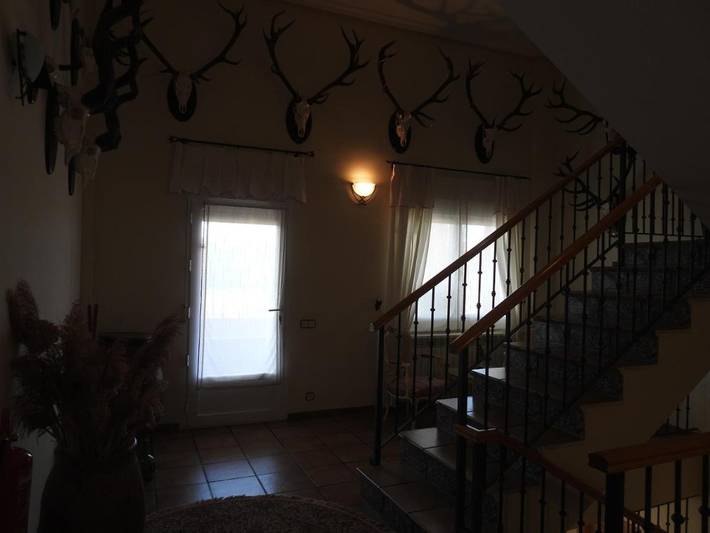 Chalet para 18 personas, con piscina además de jardín y vistas, Se admiten mascotas en Campo de Calatrava - 4