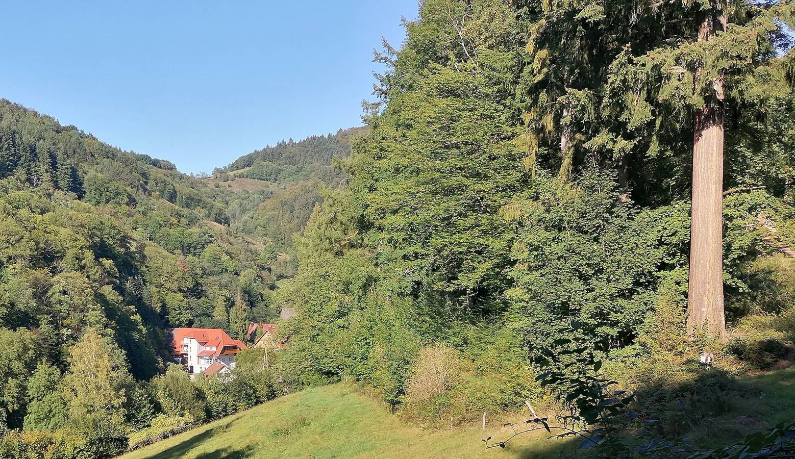 Entire apartment, Apartment 'Ferienwohnung Holunder' with Mountain View, Shared Terrace and Wi-Fi in Gengenbach, Central Black Forest