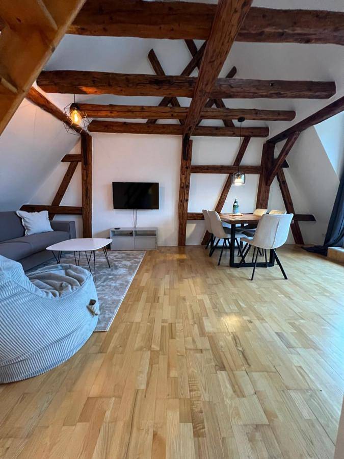 Ferienwohnung für 5 Personen, mit Terrasse in Residenzschloss Ludwigsburg - 2