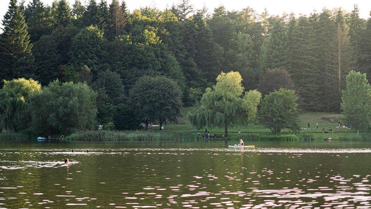 Ganze Ferienwohnung, Hütte für 2 Personen (8 m²) in Losheim Am See in Losheim am See, Saar-Nahe-Bergland