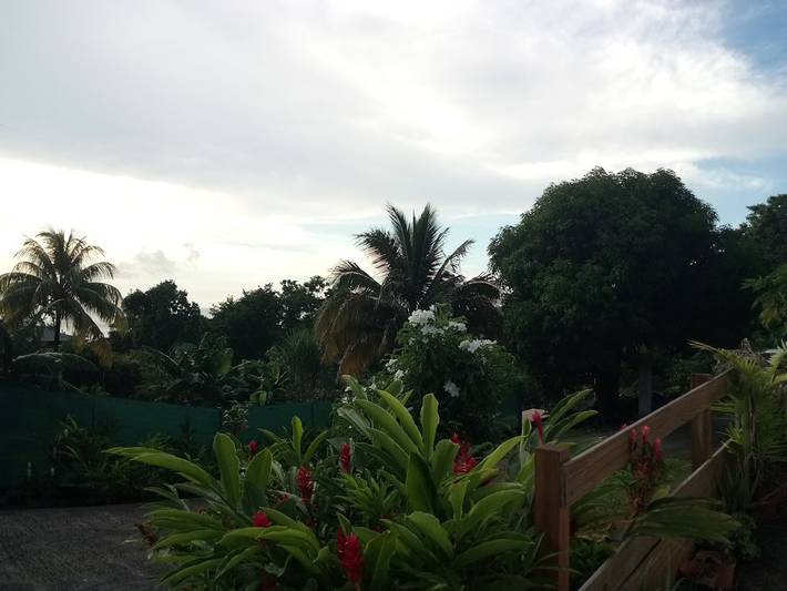 Location de vacances pour 10 personnes, avec jardin ainsi que piscine et terrasse à Bouillante - 2