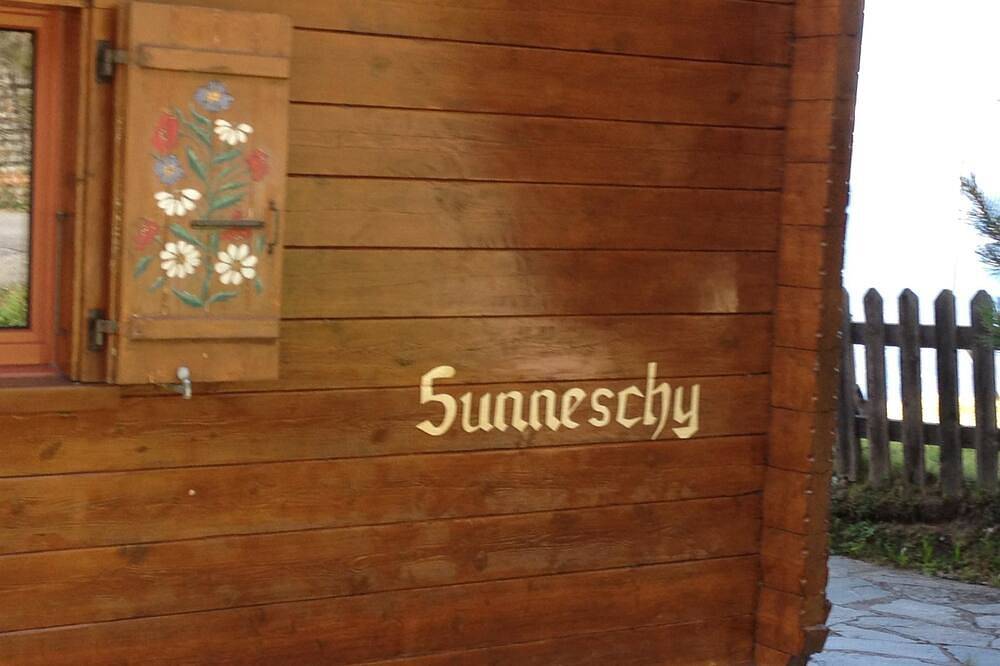 Ganze Wohnung, Sunneschy 1. Og Süd Appartement/Fewo, Dusche, Wc 3 Zimmerwohnung, 6-Betten in Riederalp, Aletsch Arena