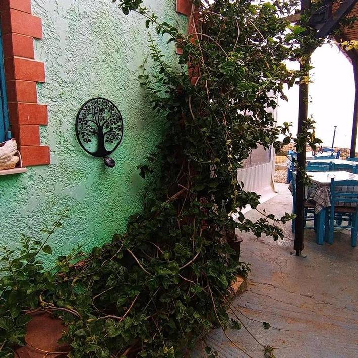 Maison d’hôte pour 3 personnes, avec vue et jardin, animaux acceptés en Crète - 3
