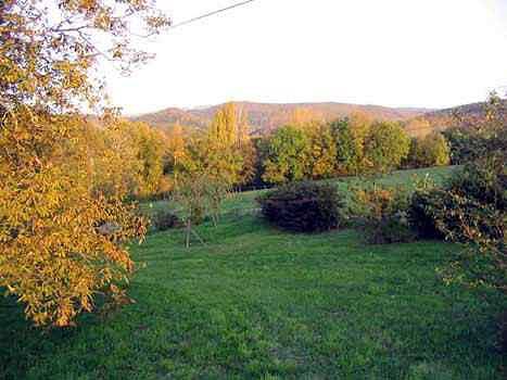 Chambre d’hôte pour 3 personnes, avec jardin et piscine, animaux acceptés dans la Drôme - 2