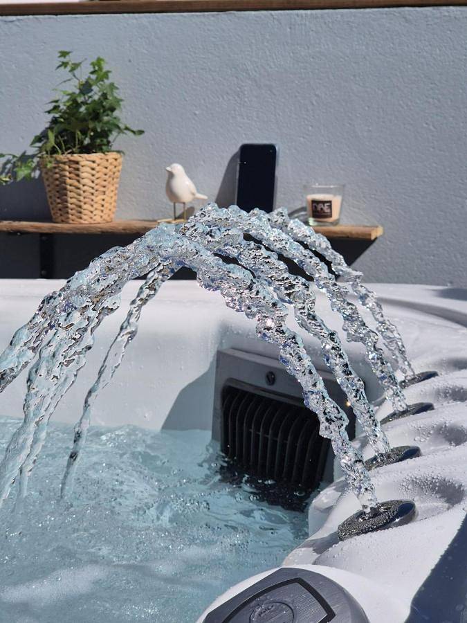 Villa pour 8 personnes, avec vue ainsi que piscine et jardin à Saint-Hilaire-de-Riez - 3