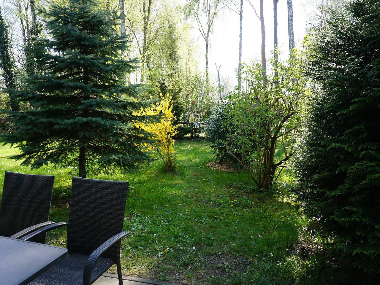 Zinnowitz Skanepark Ferienhaus 26 in Zinnowitz, Usedomer Norden